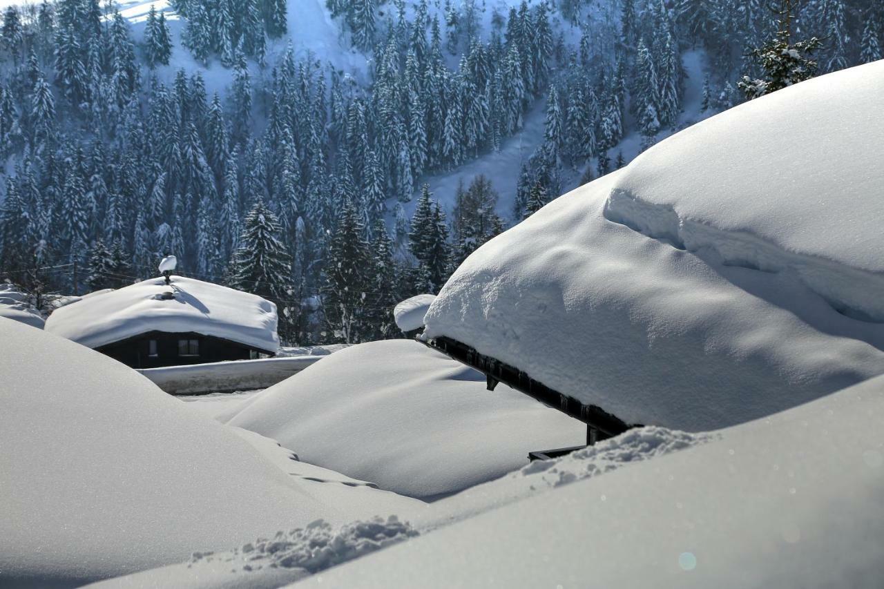 Studio "Children Of Powdersnow" Mühlbach am Hochkönig Екстериор снимка